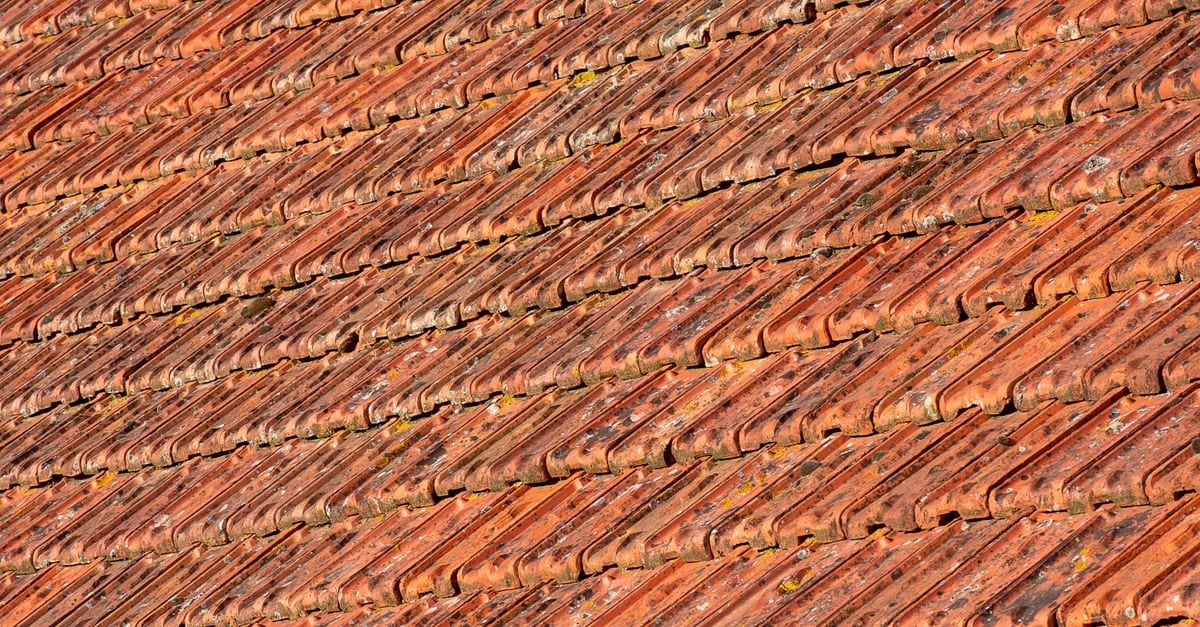 Same terracotta roof restored to clean tile after high pressure treatment